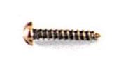 6410 Fleischmann : Track Fixing Screws