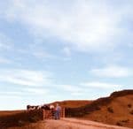 ALOO201 Arch Laser Flexible Cotswold Stone Walling BULK PACK