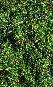 Faller 170710  Scatter Meadow