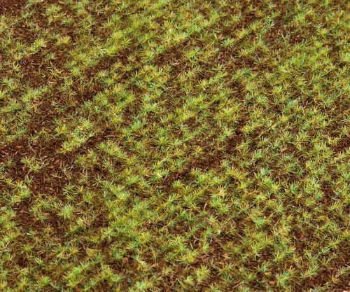 Faller 180471 PREMIUM Landscape Field