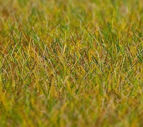 Faller 180484 Meadow Ground Cover Fibres Long