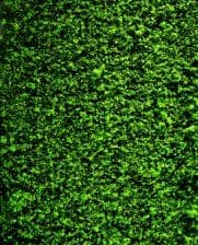 Faller 181392  Foliage Fleece Mid Green for Tree Styling