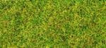 GM1320  30g Spring Grass Flock