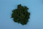 GM1602  Lichen - Dark Green (80g)