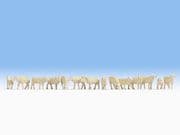 Noch 15749 Sheep (14) Figure Set