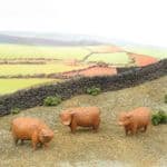 OSBF083 OO Scale Figures -- Highland cattle X 3 (painted)