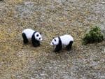 OSBF203 HO Scale Figures Giant Pandas (painted) (X2)