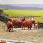 OSBF225 OO Gauge North Devon Red Cattle x3 (Painted) Model Railway Figures 1:76