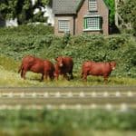OSBFTT225 TT 1:120 Scale North Devon Red Cattle x 3 (painted) (1)