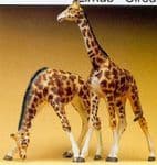 Preiser 20385 - HO / OO Scales Giraffes