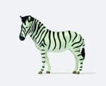 Prieser 29529 HO / OO Scales Zebra