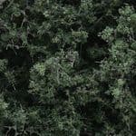 WF1130 Woodland Scenics: Fine-Leaf Foliage - Dark Green