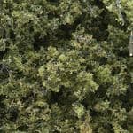 WF1132 Woodland Scenics: Fine-Leaf Foliage - Light Green