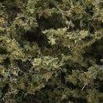 WF1133 Woodland Scenics: Fine-Leaf Foliage - Olive Green