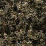 WF1134 Woodland Scenics: Fine-Leaf Foliage - Dead Foliage