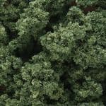 WFC183 Woodland Scenics: Clump-Foliage - Medium Green (165 cu. in. bag)