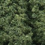 WFC58 Woodland Scenics: Foliage Clusters - Medium Green (28 oz.)
