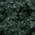 WFC59 Woodland Scenics: Foliage Clusters - Dark Green (28 oz.)
