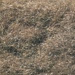 WFL633 Woodland Scenics: Flock - Burnt Grass (50 cu. in. Shaker)