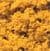 WT1353 Woodland Scenics: Coarse Turf - Fall Yellow (50 cu. in. Shaker)