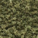 WT1362 Woodland Scenics: Coarse Turf - Burnt Grass (50 cu. in. Shaker)