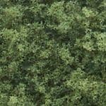 WT1364 Woodland Scenics: Coarse Turf - Medium Green (50 cu. in. Shaker)
