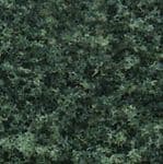 WT1365 Woodland Scenics: Coarse Turf - Dark Green (50 cu. in. Shaker)