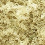 WT61 Woodland Scenics: Coarse Turf - Yellow Grass (18 cu. in. bag)