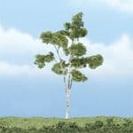 WTR1616 Woodland Scenics: Paper Birch (4"-1 pkg.)