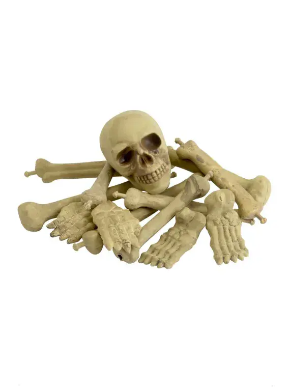 Bag of Bones & Skull
