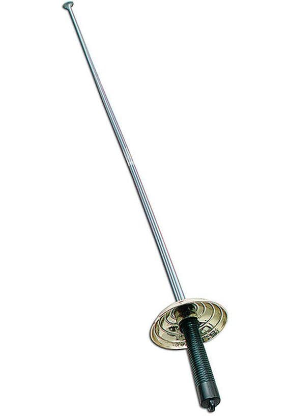 Bandit/Fencing Sword