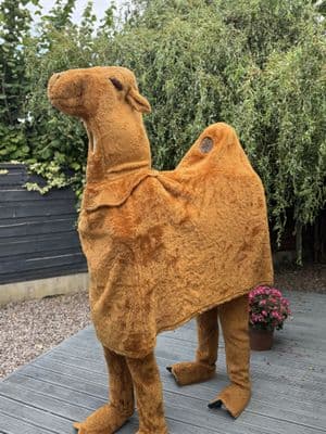 Camel Mascot (Ex-Hire)
