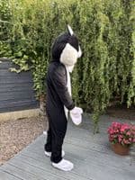 Cat Mascot (Ex-Hire)