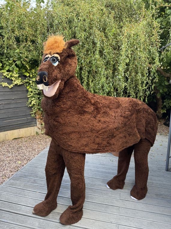 Dark Brown Horse (Ex-Hire)