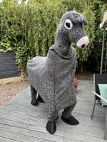 Donkey Mascot (Ex-Hire)