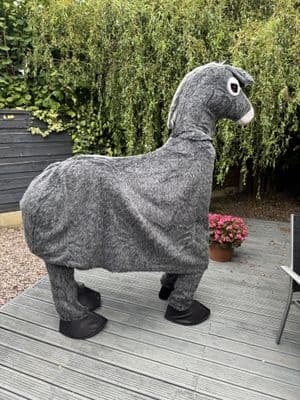 Donkey Mascot (Ex-Hire)