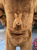 Kangaroo Mascot (Ex-Hire)