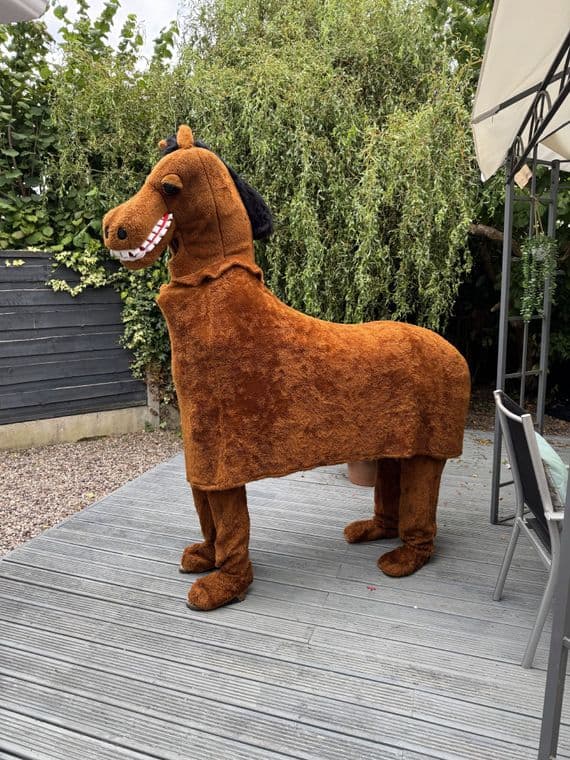 Light Brown Horse (Ex-Hire)