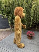 Lion Mascot (Ex-Hire).