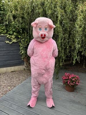Pig Mascot (Ex Hire)