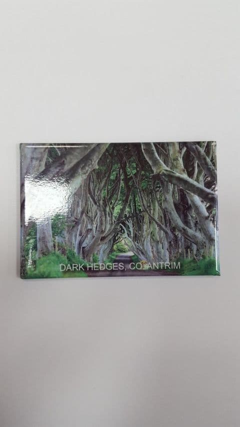 Dark Hedges Fridge Magnet