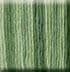 #3s Bulrush