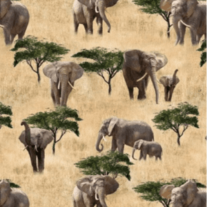 African Safari elephant allover