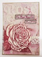 064 PA Stencil {by Scrapcosy}