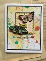 364 PA Stencil {Sara Naumann}