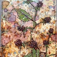Alison Bomber 024 (Blackberries)