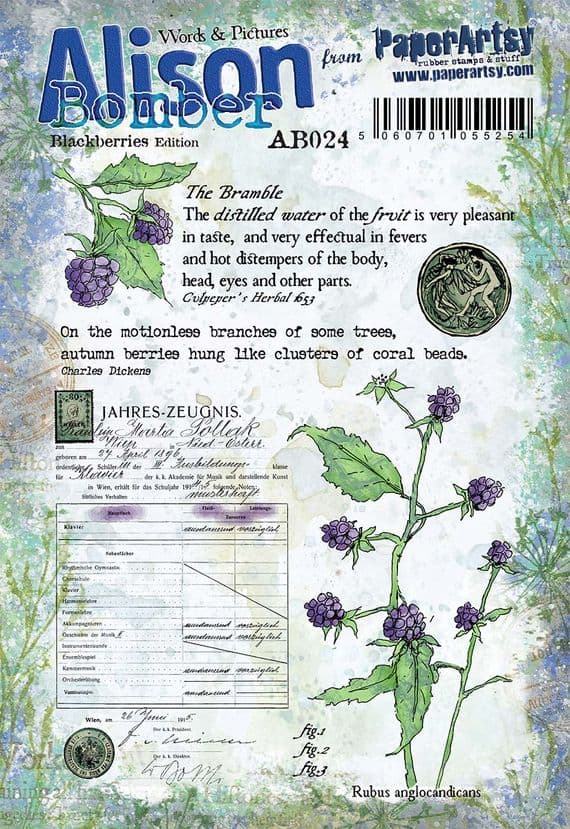 Alison Bomber 024 (Blackberries)