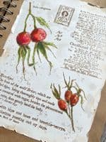Alison Bomber 026 (Rosehips)