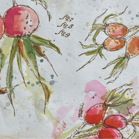 Alison Bomber 026 (Rosehips)