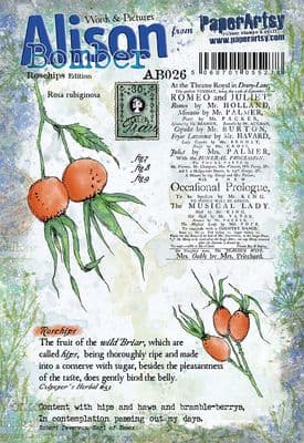 Alison Bomber 026 (Rosehips)